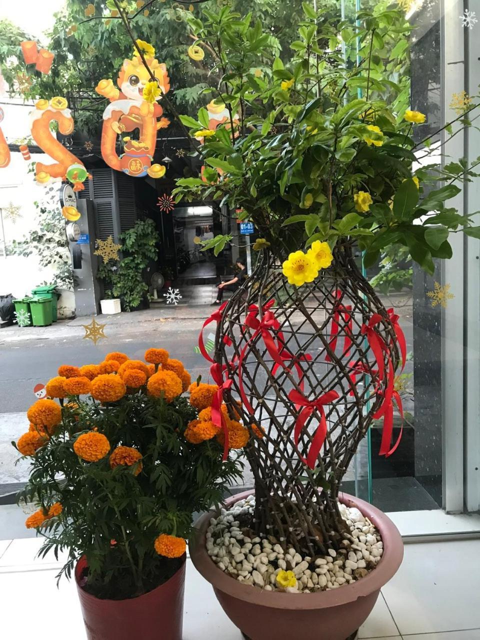 הו צ'י מין סיטי Vanapartment מראה חיצוני תמונה