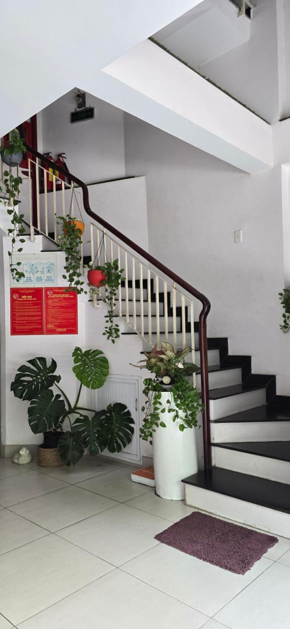 הו צ'י מין סיטי Vanapartment מראה חיצוני תמונה